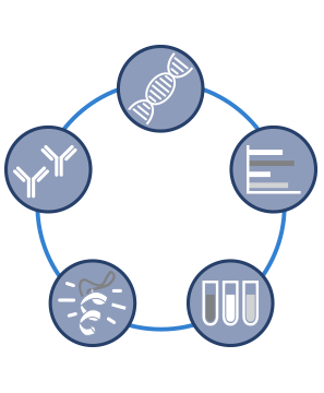 5 Pillars of Antibody Validation