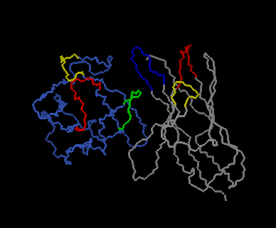 HyHel-5 (anti-lysozyme) Fv