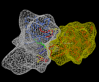 HyHel-5/lysozyme complex | spherical harmonic surfaces