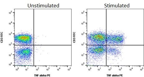 Intracellular cytokine staining.