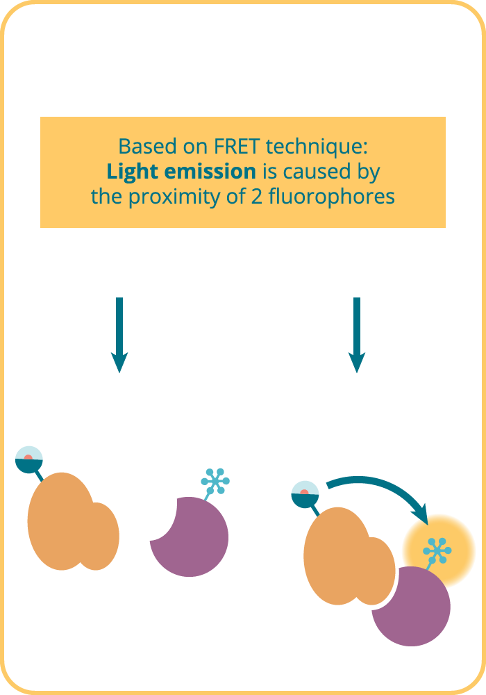 Protein-Protein Interaction assays