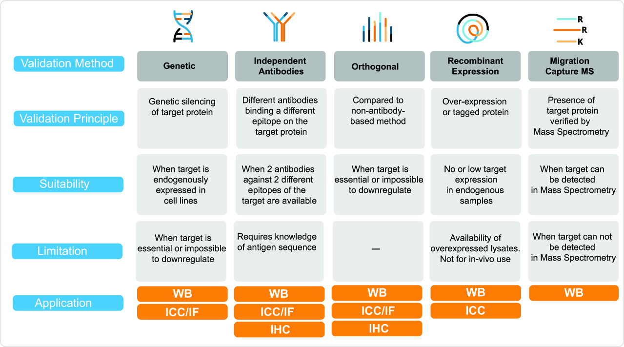 Table validation Methods diagram