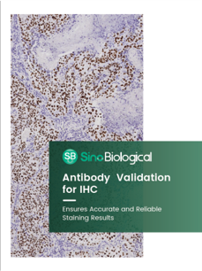 Antibody Validation for IHC