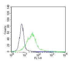 Flow cytometric analysis of paraformaldehyde fixed, Jurkat cells (Human T cell leukaemia cells) using anti-CD34 antibody NB600-1071 (green) and isotype control Rat IgG2a (blue) (see Method section for more detail).