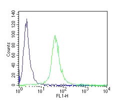 Flow cytometric analysis of paraformaldehyde fixed, Jurkat cells (Human T cell leukaemia cells) using anti-CD34 antibody EB11681 (green) and isotype control Goat IgG (blue) (see Method section for more detail).