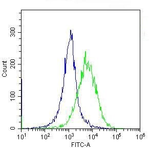 Cells : Raji Antibody : CD86 M187 (green) Isotype control : Mouse IgG1 (blue)