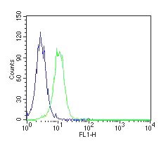 Flow cytometric analysis of paraformaldehyde fixed, THP-1 cells (Human monocytic leukemia cells) using anti-TNF-α antibody Novus NBP2-27224 at 2ug per test (green) and isotype controls (blue) (see Method section for more detail).