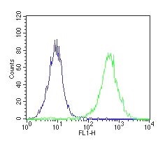 Flow cytometric analysis of paraformaldehyde fixed, THP-1 cells (Human monocytic leukemia cells) using anti-TNF-α antibody Sicgen AB0109 at 2ug per test (green) and isotype controls (blue) (see Method section for more detail).